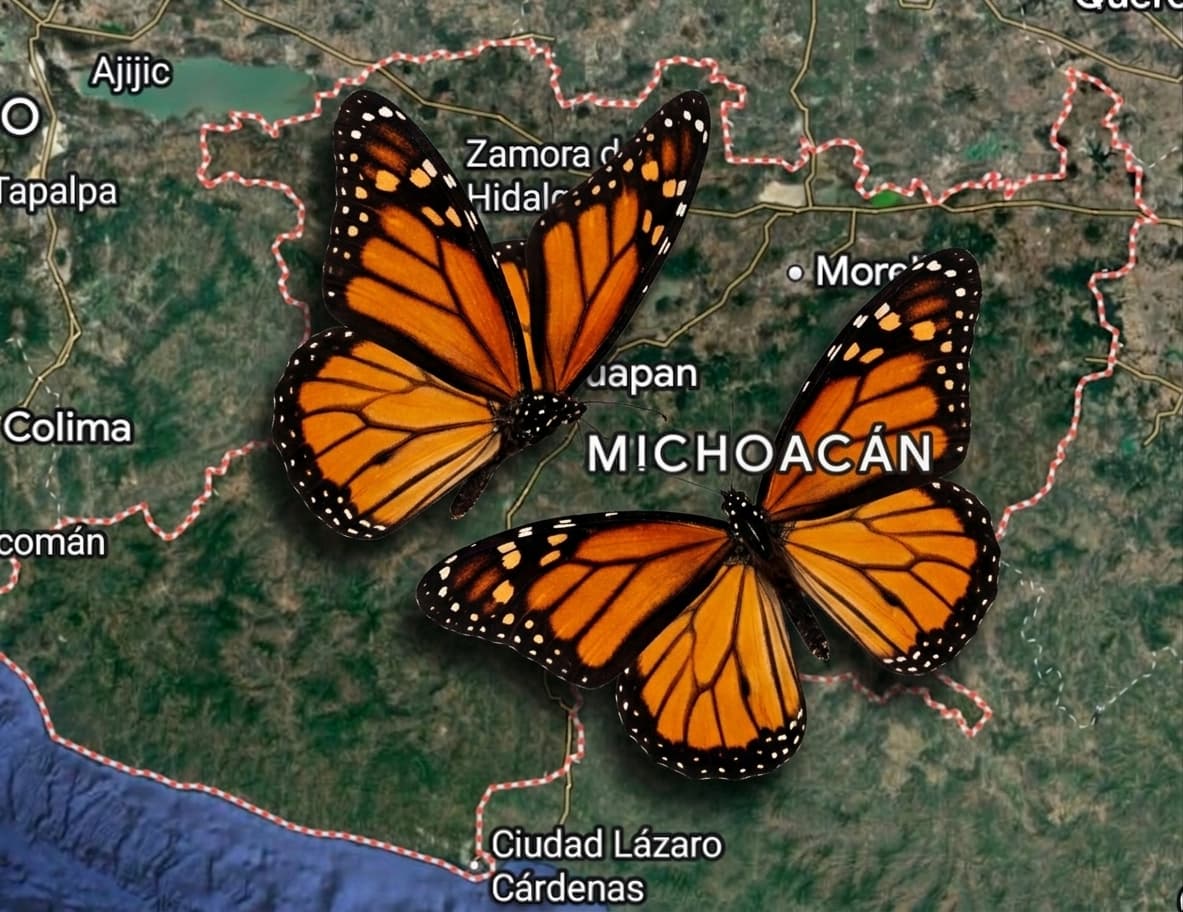 Vista de MICHOACÁN. En Desarrollo.